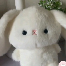 Guest_linnxixi
