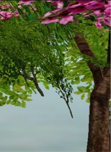Guest_Vee211621