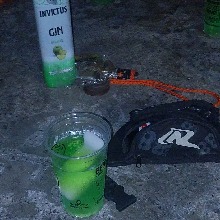 Guest_Ferreirazs019
