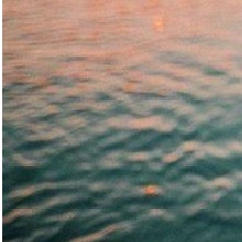 Guest_Laurenmoonstar