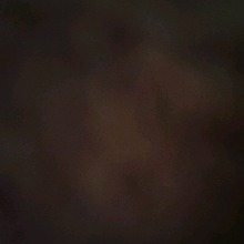 Guest_DerinNCasalino