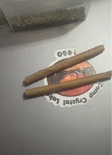 Guest_lele275228