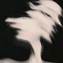 Guest_Josiah402525