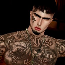 Guest_levievns