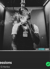 Guest_jayyomanz7438