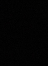 Guest_Ale167526