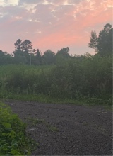 Guest_Laurabisouxx