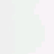 Guest_cuddlypersianplu9473