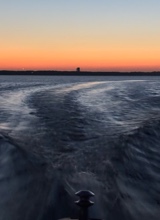 Guest_SeaSea