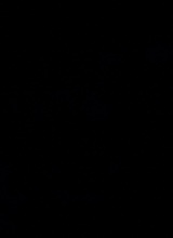 Guest_ye202950