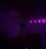 Guest_leebee33