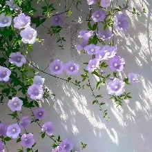 Guest_Karina76548