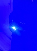 Guest_tre421