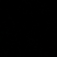 Guest_Sofia195978
