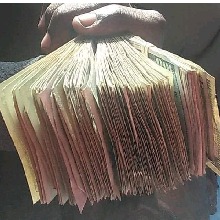Guest_CashmoneyFredoe