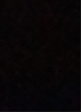 Guest_Fayyy566346