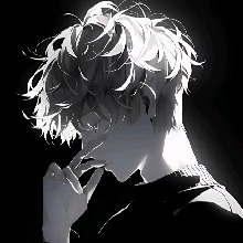 Guest_Dani744965