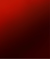 Guest_Paloma906668