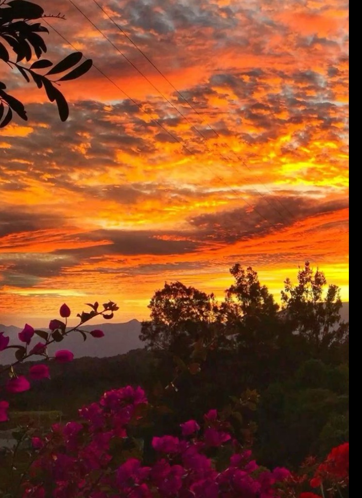 Guest_livelycaliforniudec6
