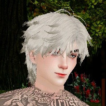 Guest_KOMAN1