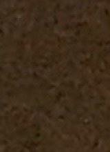 Guest_nicolaslion926331