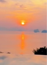 Guest_Andrea0991