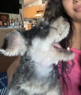 Guest_ashhhgotkashh