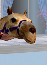 Guest_demandemoi