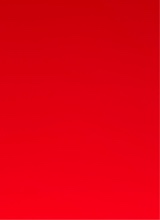 Guest_anonymous647490