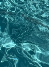 Guest_jackiie2