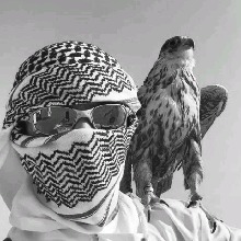 Guest_polydrake
