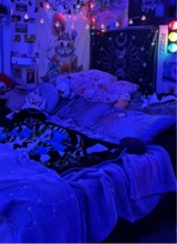 Guest_jess119891