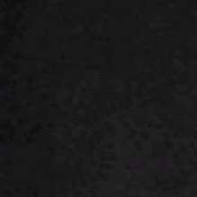 Guest_fuchsiaelectricb64b2