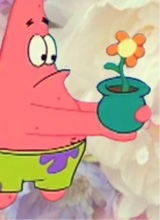 XshroomsX