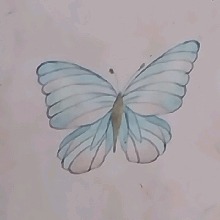 Guest_NIA23057