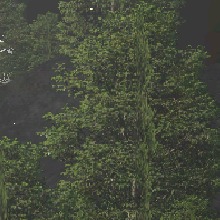 Guest_XanhLa999