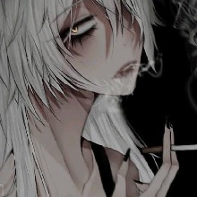 Guest_Miko790642