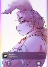 Pandabean