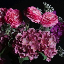 Guest_Romeo311