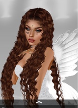 Guest_Frolik1