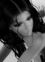 Guest_bree529399