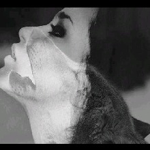 immagine avatar