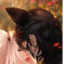Guest_Dante632686