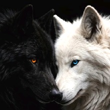 ApacheBlood1