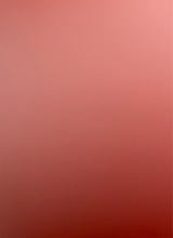 Guest_tay397425