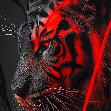Guest_Jason2124
