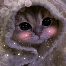 Guest_xzsa3