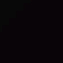 Guest_XHESI1