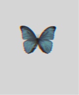 Guest_aaliyah276921