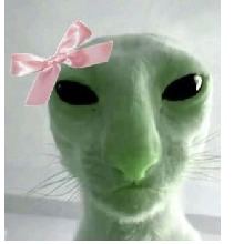 Guest_Hannax